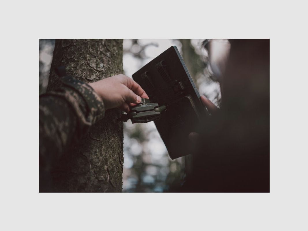 Thirty-six tree tripod with ball joints