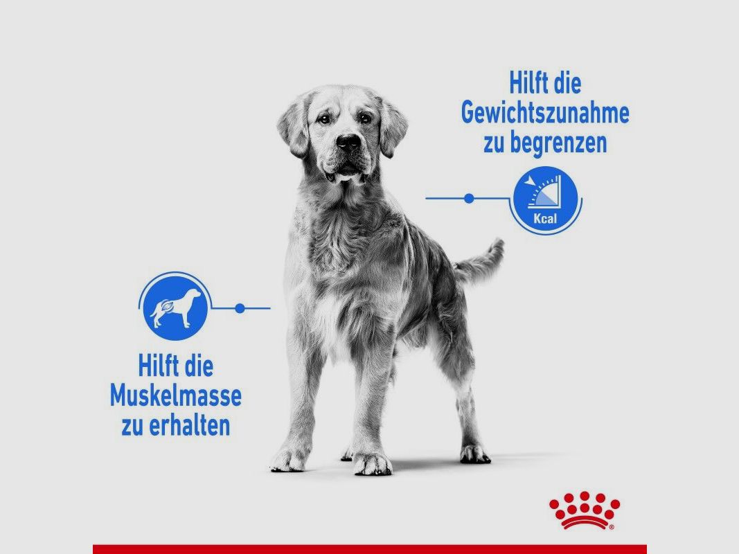 ROYAL CANIN Trockenfutter Light Weight Care Maxi für zu Übergewicht neigenden Hunden