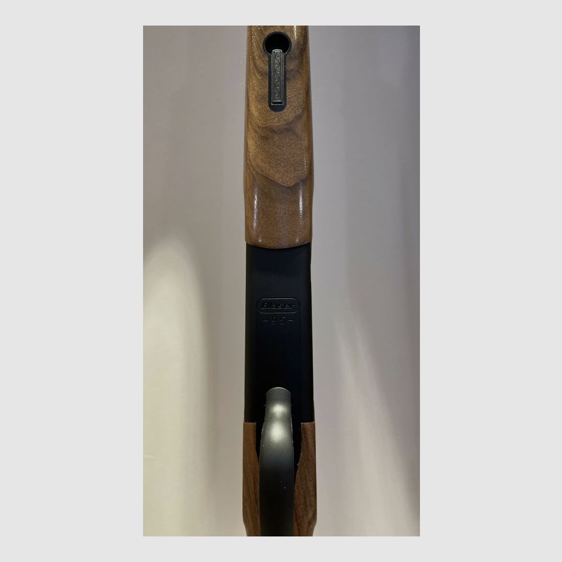 BLASER BBF 95 - ¡incl. caja de sistema negra!