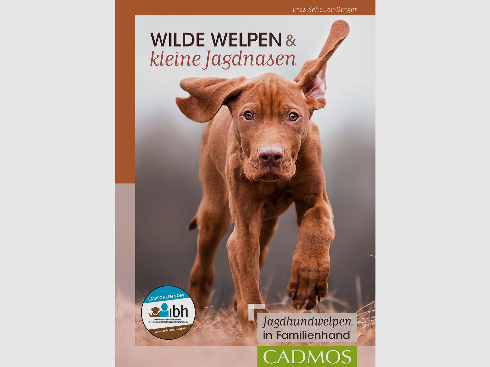 Wilde Welpen & kleine Jagdnasen