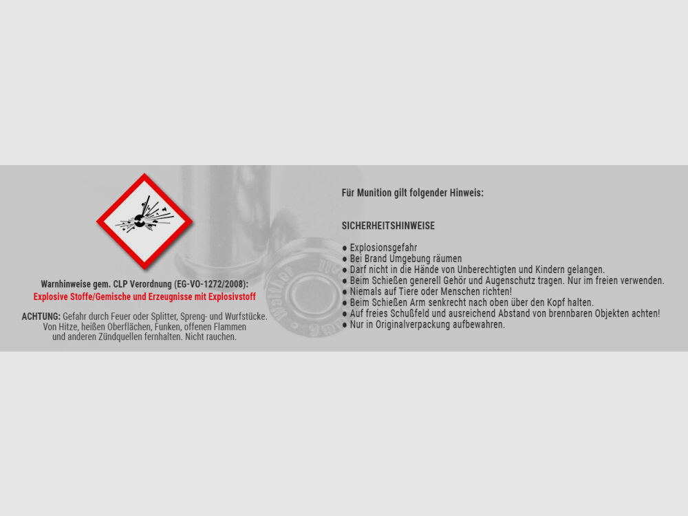 RWS Driven Hunt SR 9.6g/150grs à20 .30-06 Spring
