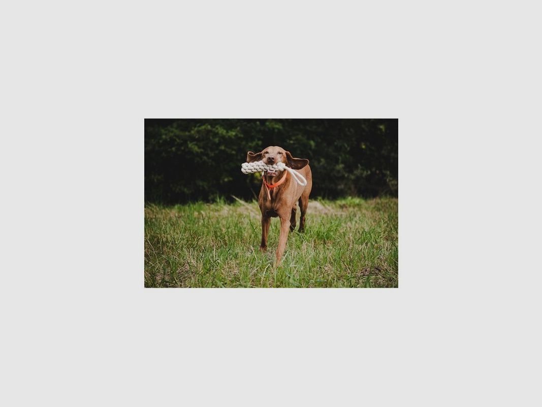 Farm-Land Sznurowadło do zabawy