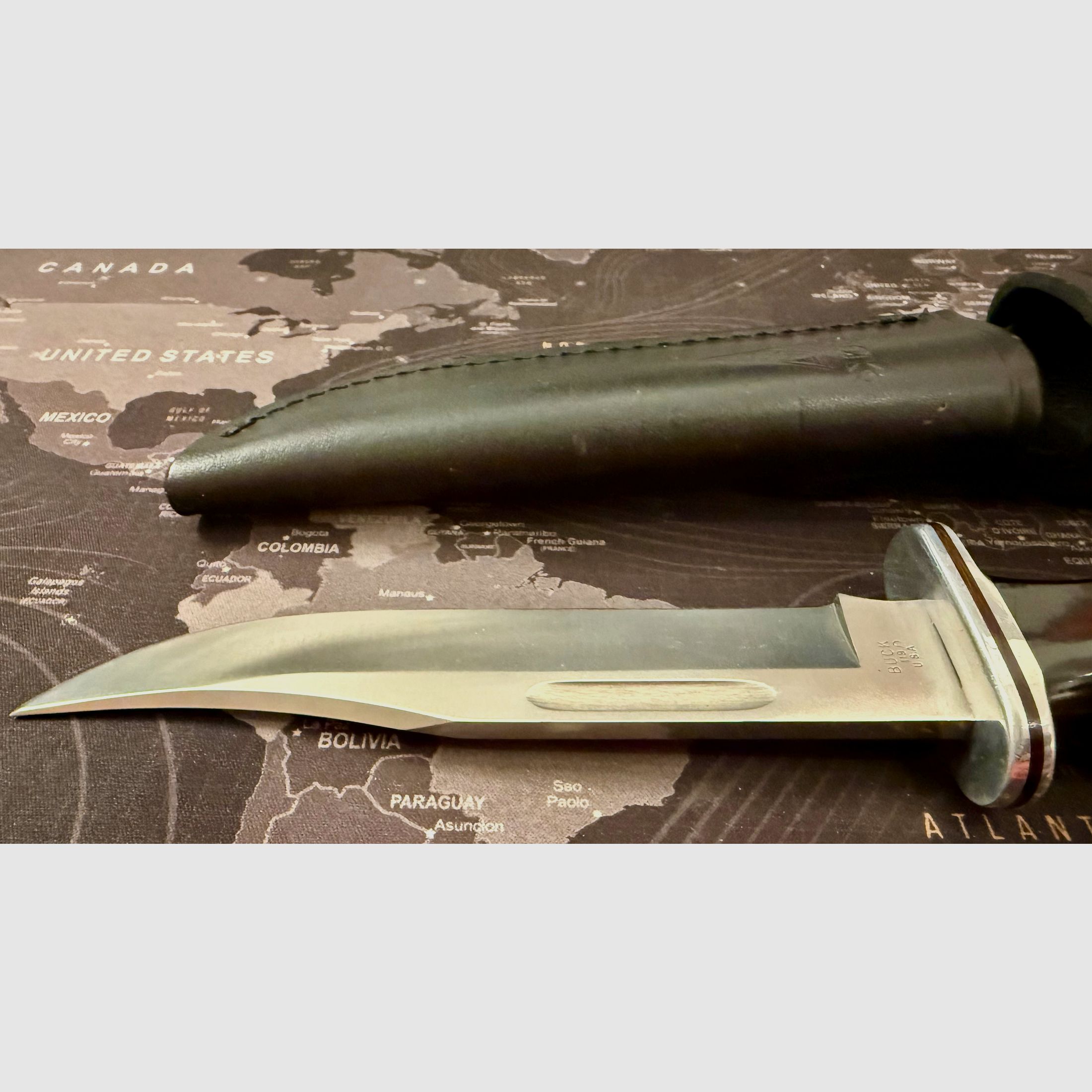 Buck 119 Bowie Messer Outdoor