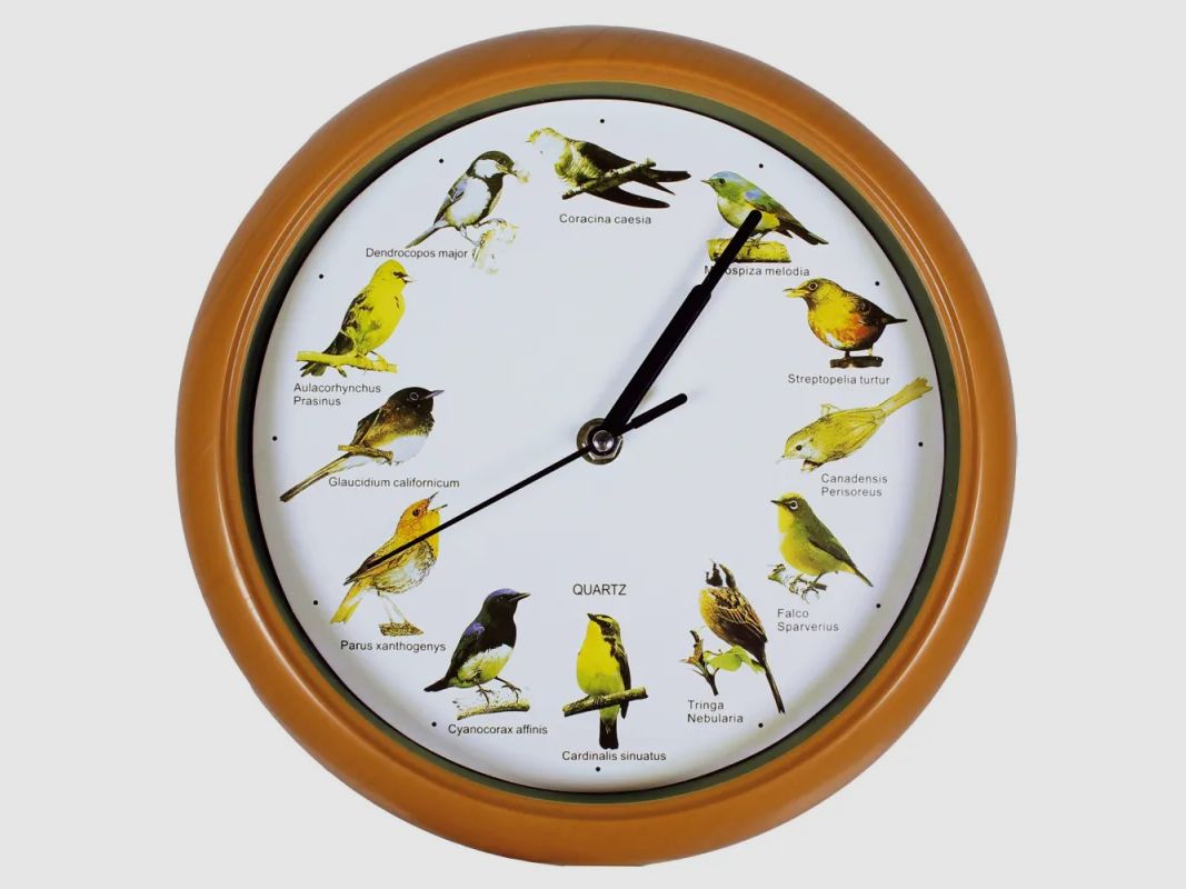 Orologio da parete musicale 12 suoni di uccelli 24,5 cm, immagine 1 di 3