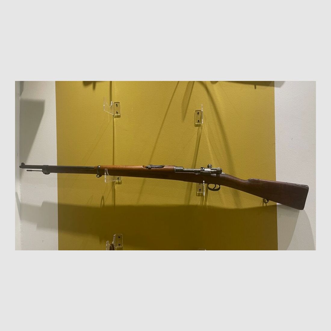 Carl Gustafs M 96