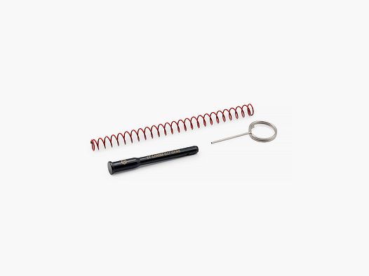 Sistema de retroceso Eemann Tech para GLOCK17 GEN6