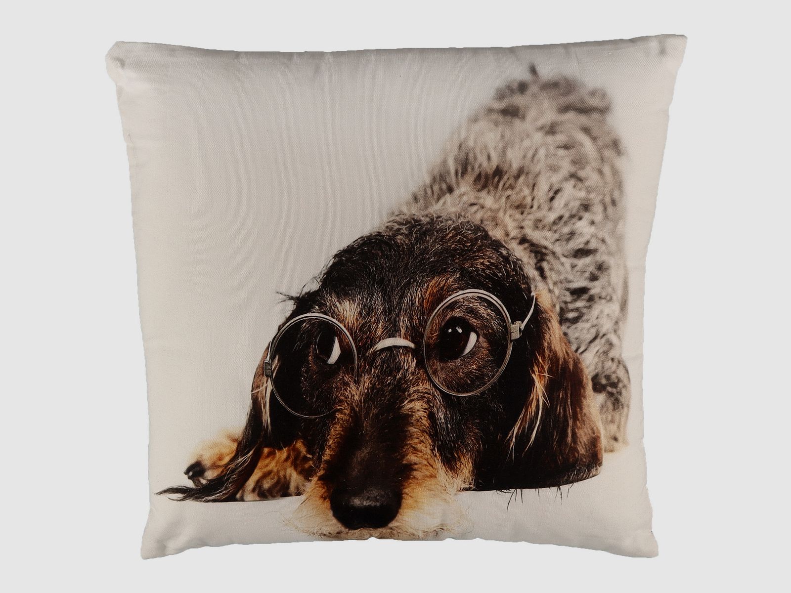Kissen Dackel mit Brille 50x50 cm
