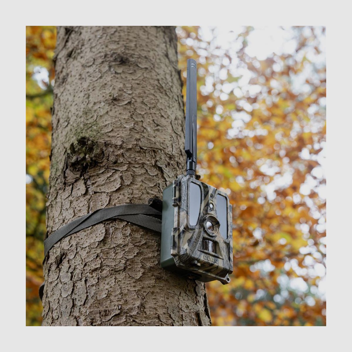 DÖRR Überwachungskamera SNAPSHOT CLOUD PRO 4G