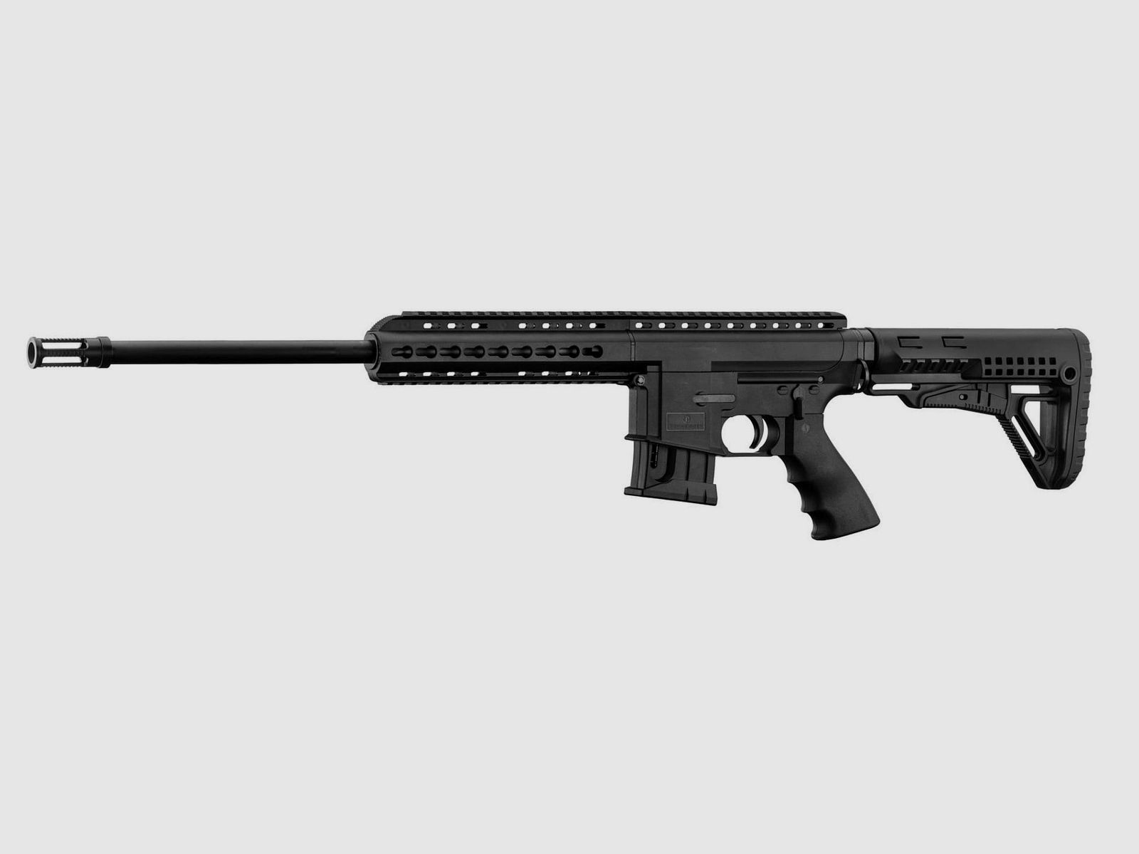 Schmeisser BA15-22 KK carabine de petit calibre style AR15 prix à débattre