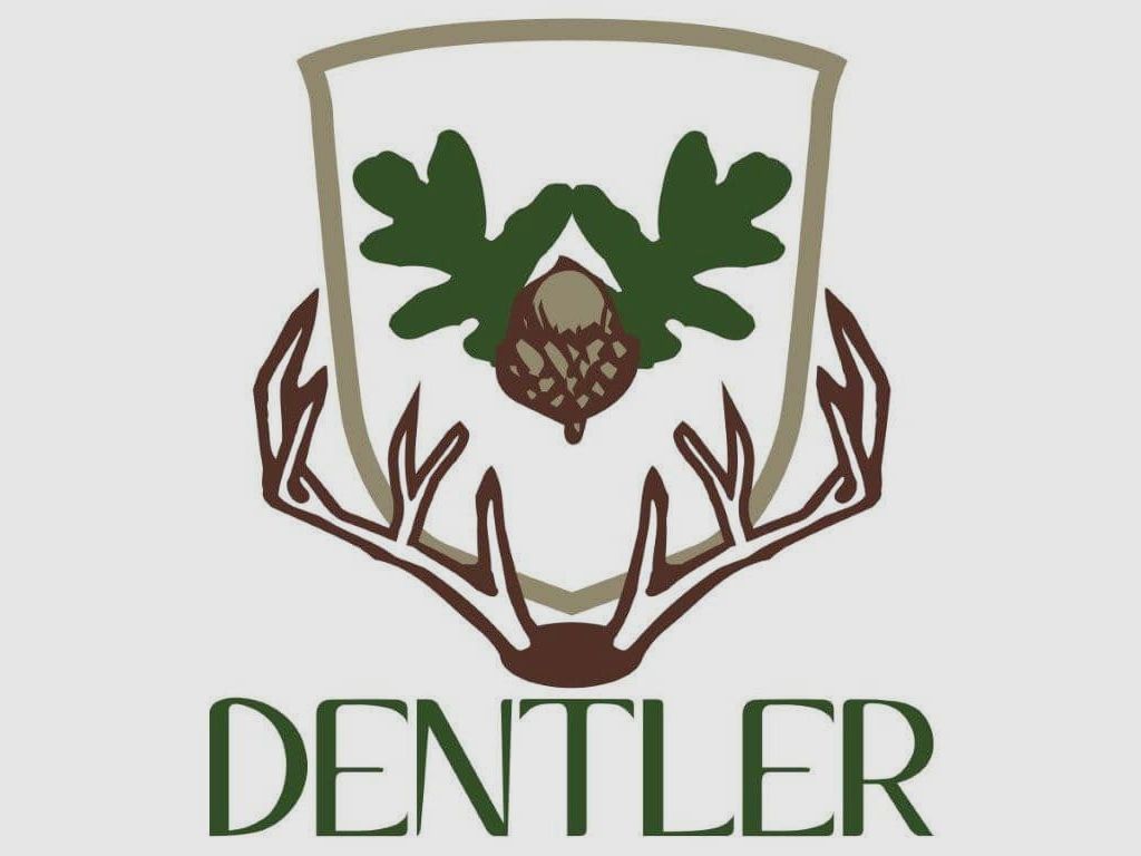 Dentler mounting rings – steel