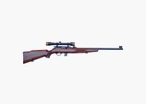 Beretta olimpia super match 22lr