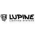 Lupine