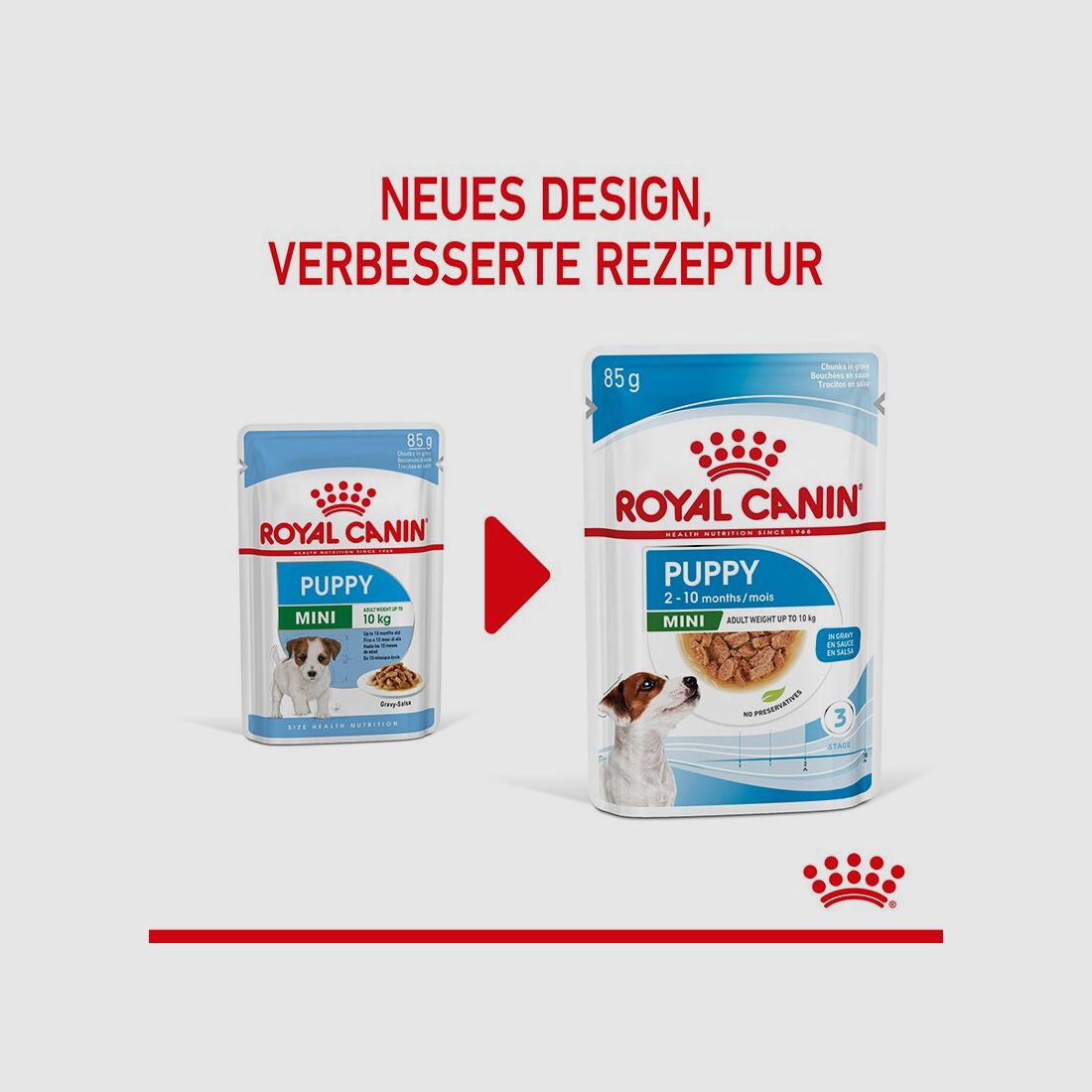 ROYAL CANIN Kleine Hunde Nassfutter Welpen bis zum 10. Monat 12x85 g