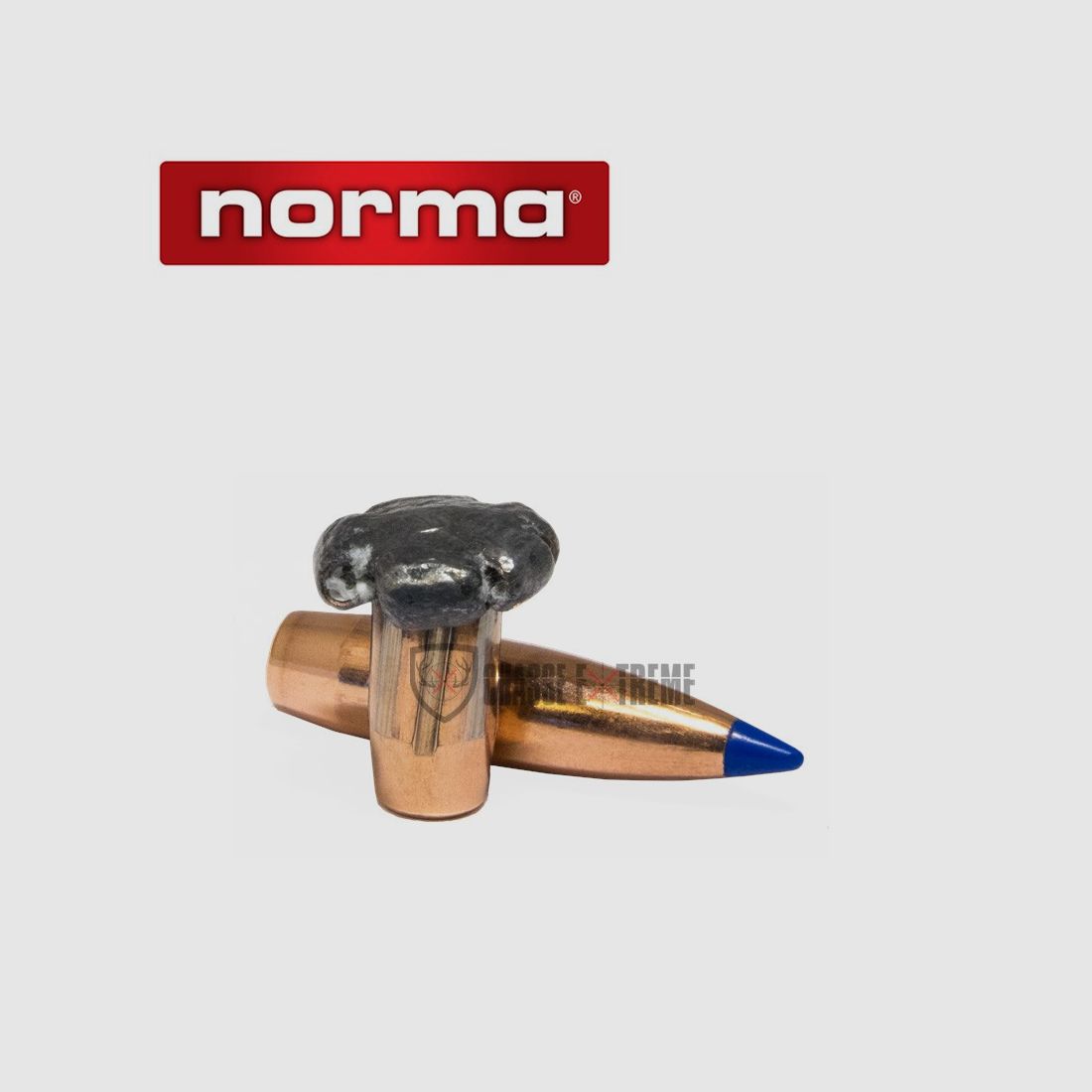 20 Patronen NORMA Kal. 30-06 sprg 180gr Bondstrike Extreme, Bild 2 von 2