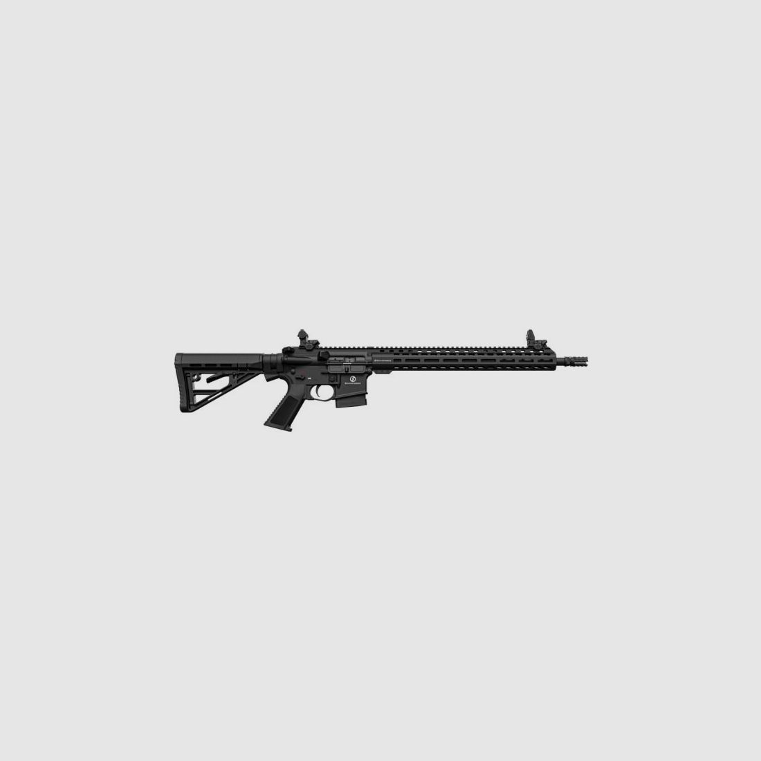 Schmeisser AR15 M5FL, Bild 1 von 2