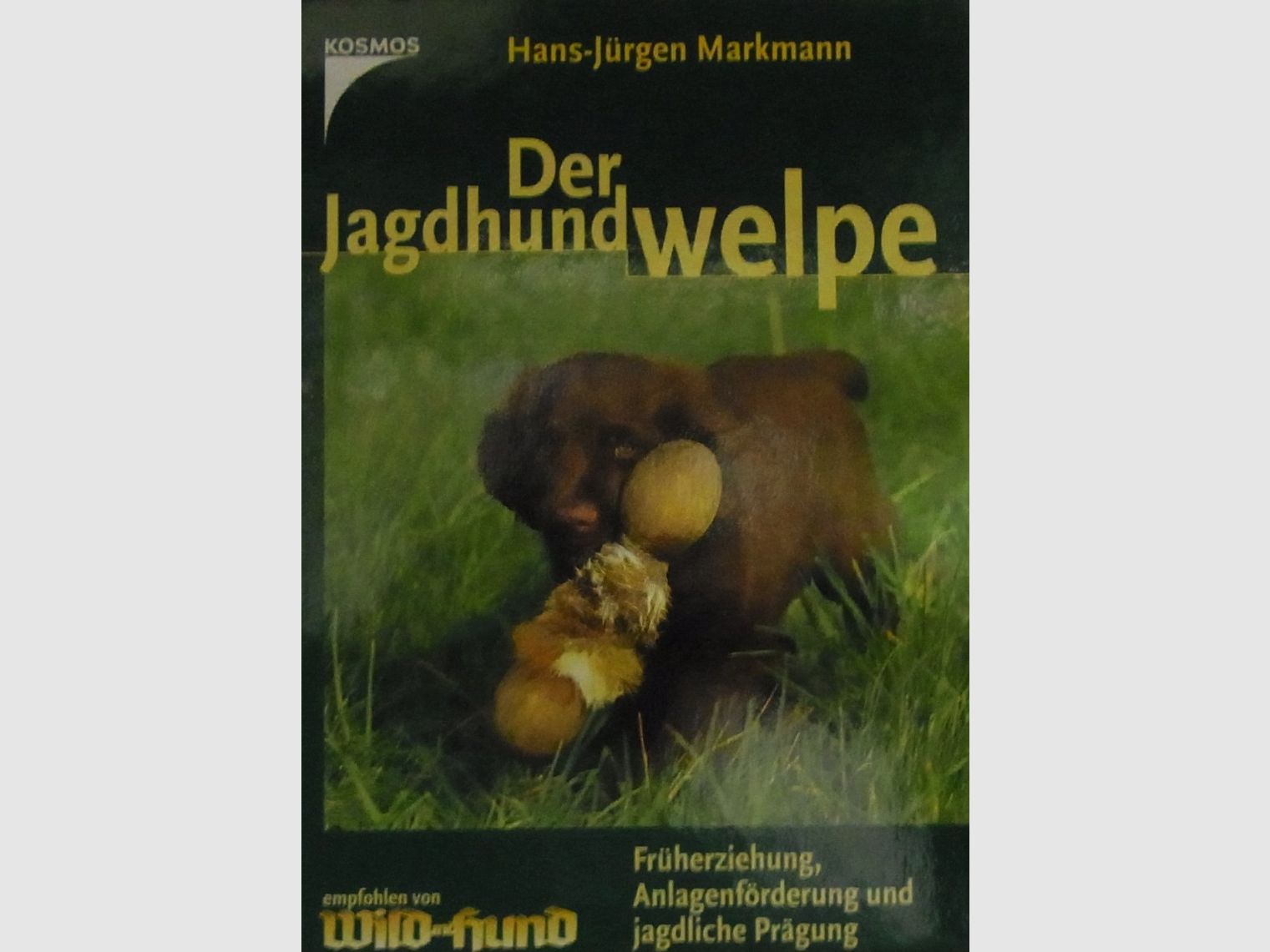 Buch Der Jagdhundwelpe