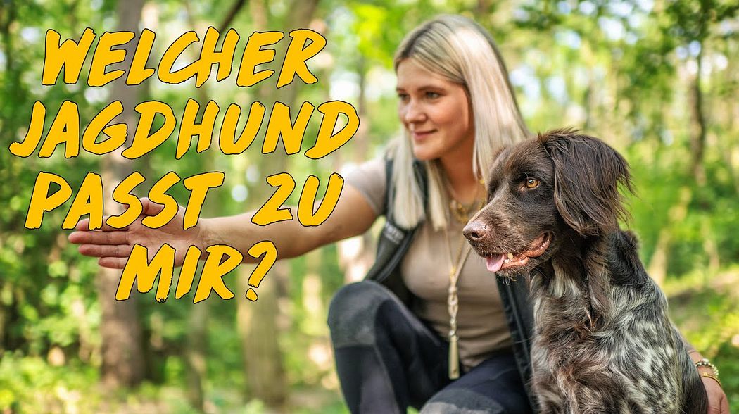 Was ist der beste Jagdhund? Für mich!