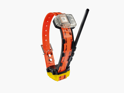 BITRABI – MITO 5100 OBROŻA RADIO GPS