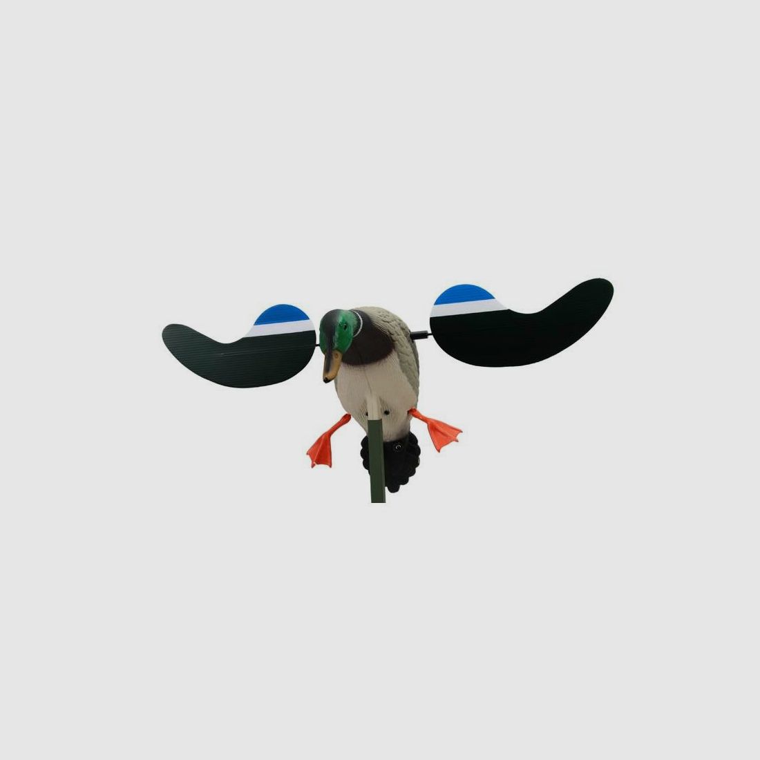 Mojo Baby Drake canard mâle