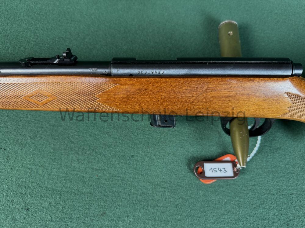 Marlin 25N