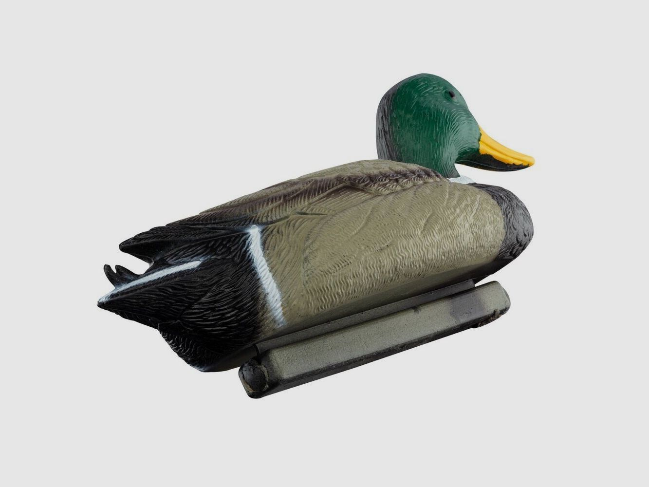 Appelant colvert mâle, image 2 sur 2