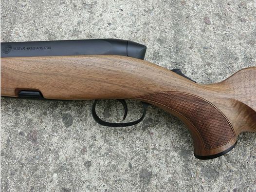 Steyr SM12