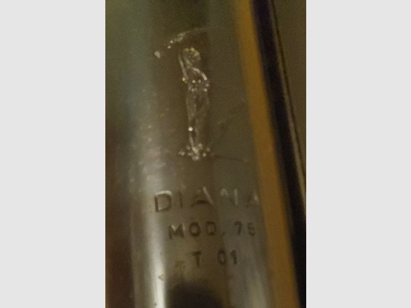 Diana 75 T1 