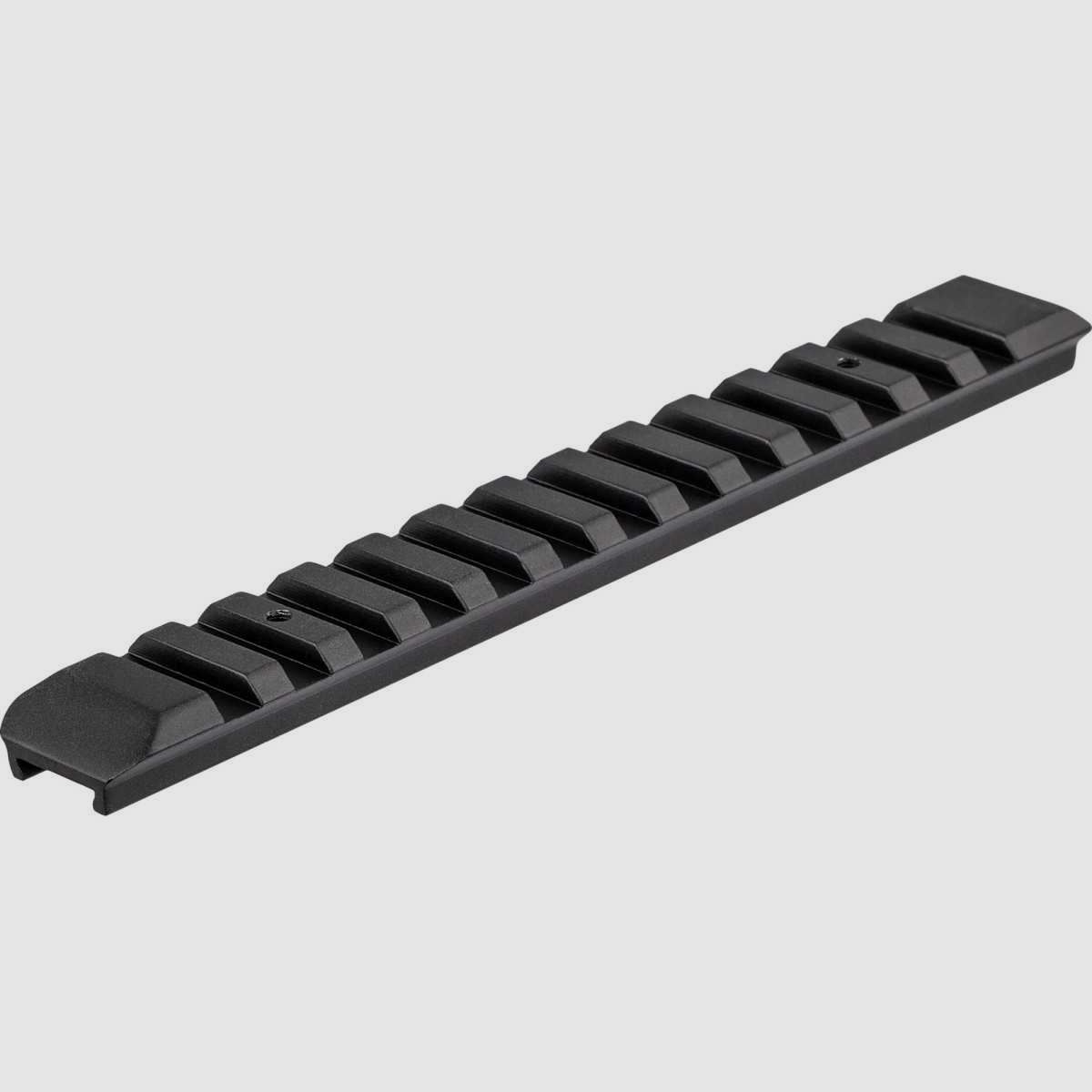 Rail Picatinny
