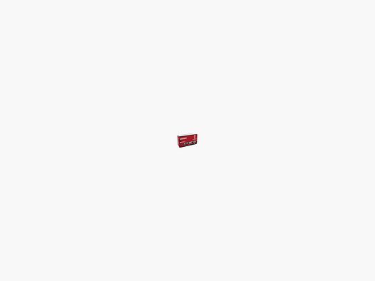Munition 5.6 FIOCCHI Subsonic LRN HP 38GR
