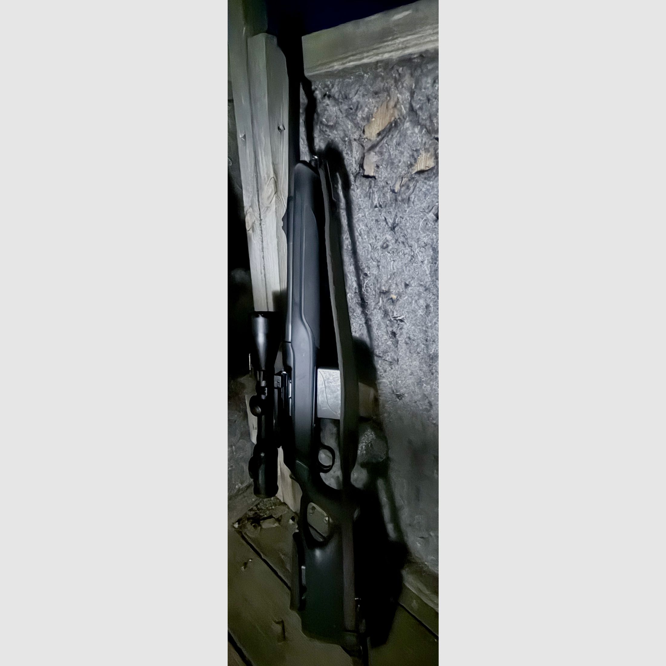 Sauer 303 in 30.06