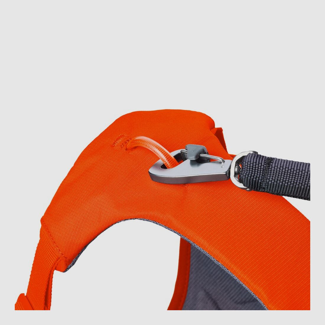 Ruffwear Dog Harness Web Master™ (Size XXS (Chest 33-43cm) – Blaze Orange), image 7 of 7