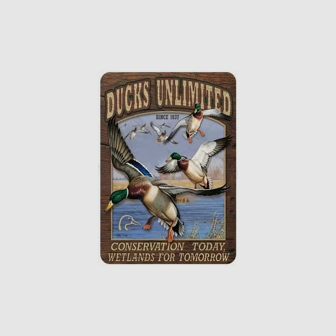 Metall-Dekorplatte Ducks Unlimited Stockente