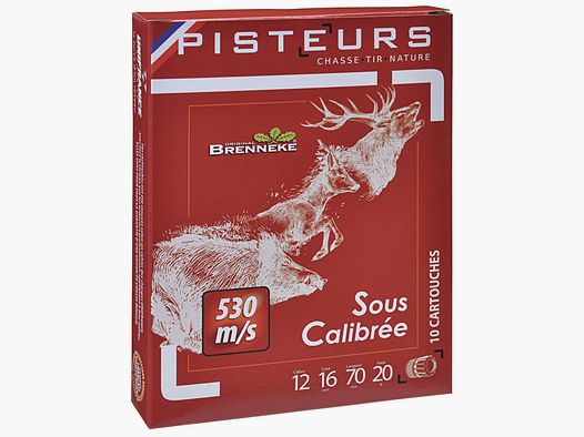 PISTEURS Cartouches Brenneke sous calibrée Cal 12/70-309 grains