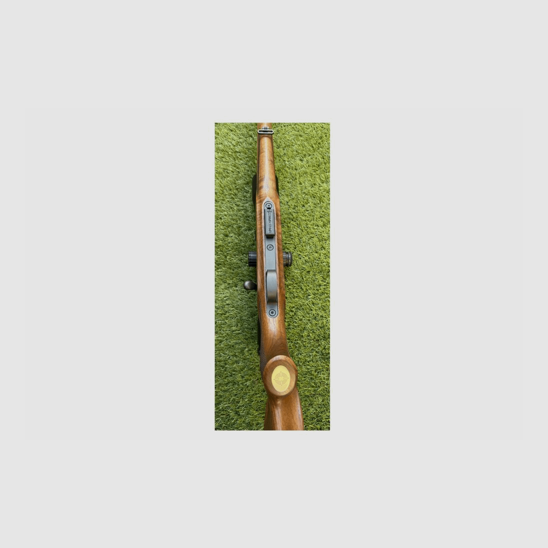 Steyr Mannlicher Zephyr II avec lunette Bushnell .17HMR