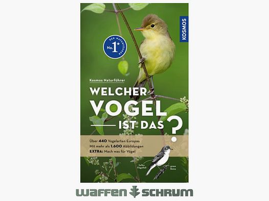 Cosmos Which bird is that? Dierschke