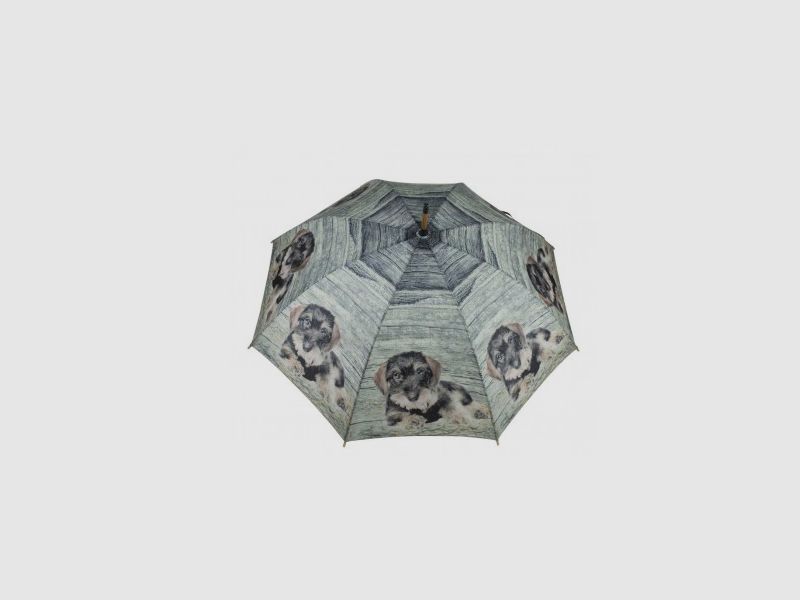 Lovergreen Outdoor Motiv Regenschirm Dackel mit grünem Hintergrund