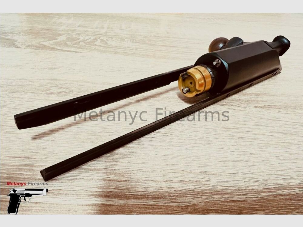 Blaser R 93 .30-06Spring