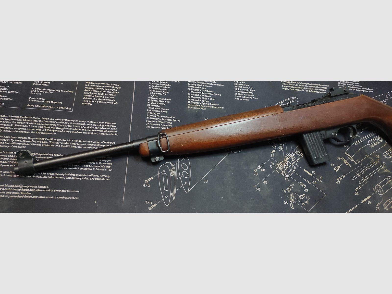 Erma M1 .22lfb Slb mit großem Magazin keine Ruger keine Voere Jagdwaffe oder Sportschießen