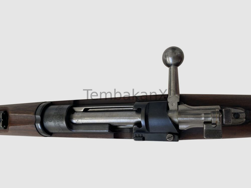 Carl Gustafs Mod. 96 6.5x55SE
