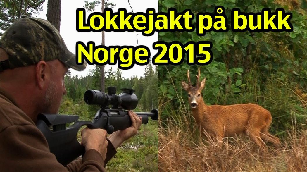 Lokkejakt på bukk i Norge 2015 av Kristoffer Clausen, Trailer