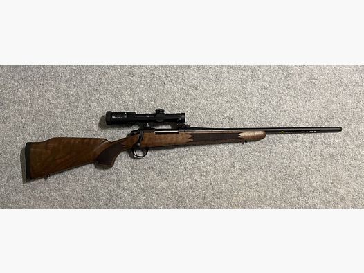 Bergara	 B14 Timber