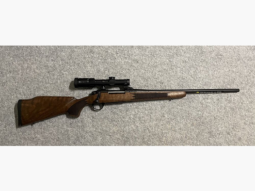 Bergara	 B14 Timber