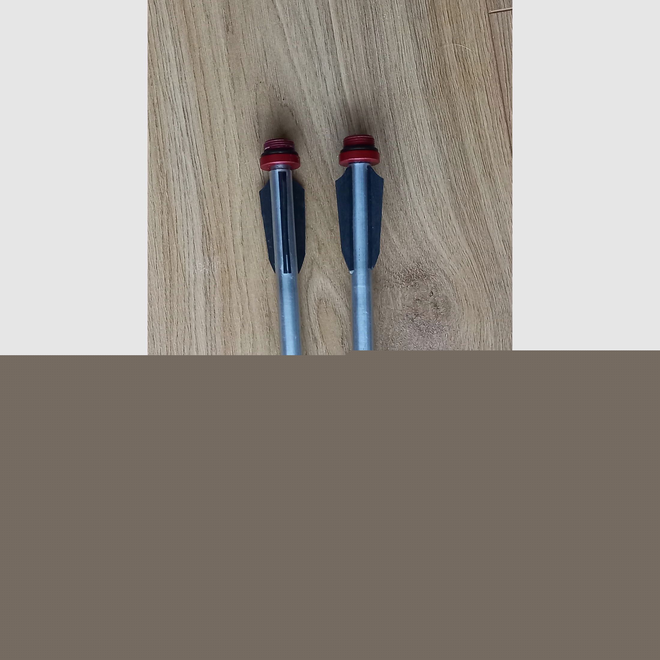 AEA Scuba Ringer Alu-Pfeile mit Jagdspitzen