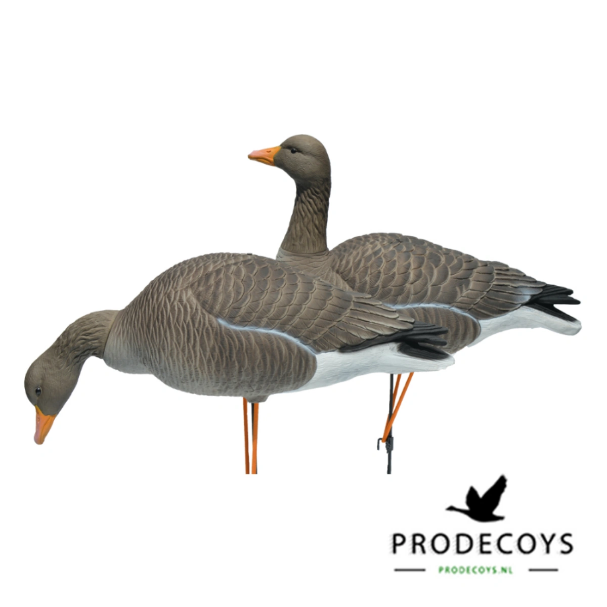 Prodecoys Premium FBE set di voucher, immagine 4 di 4