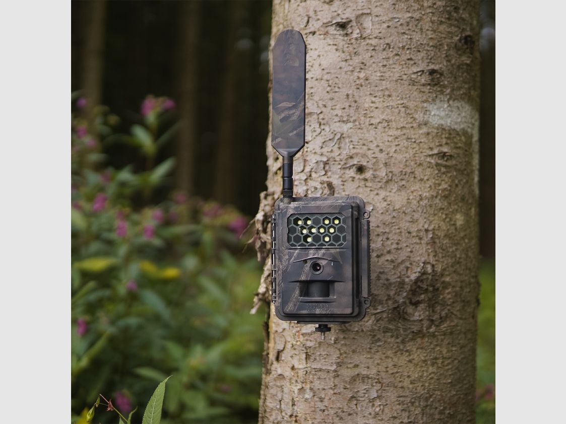 SEISSIGER Special-Cam LTE „Weißblitz“ – SUPERSIM-Edition inclusi batterie