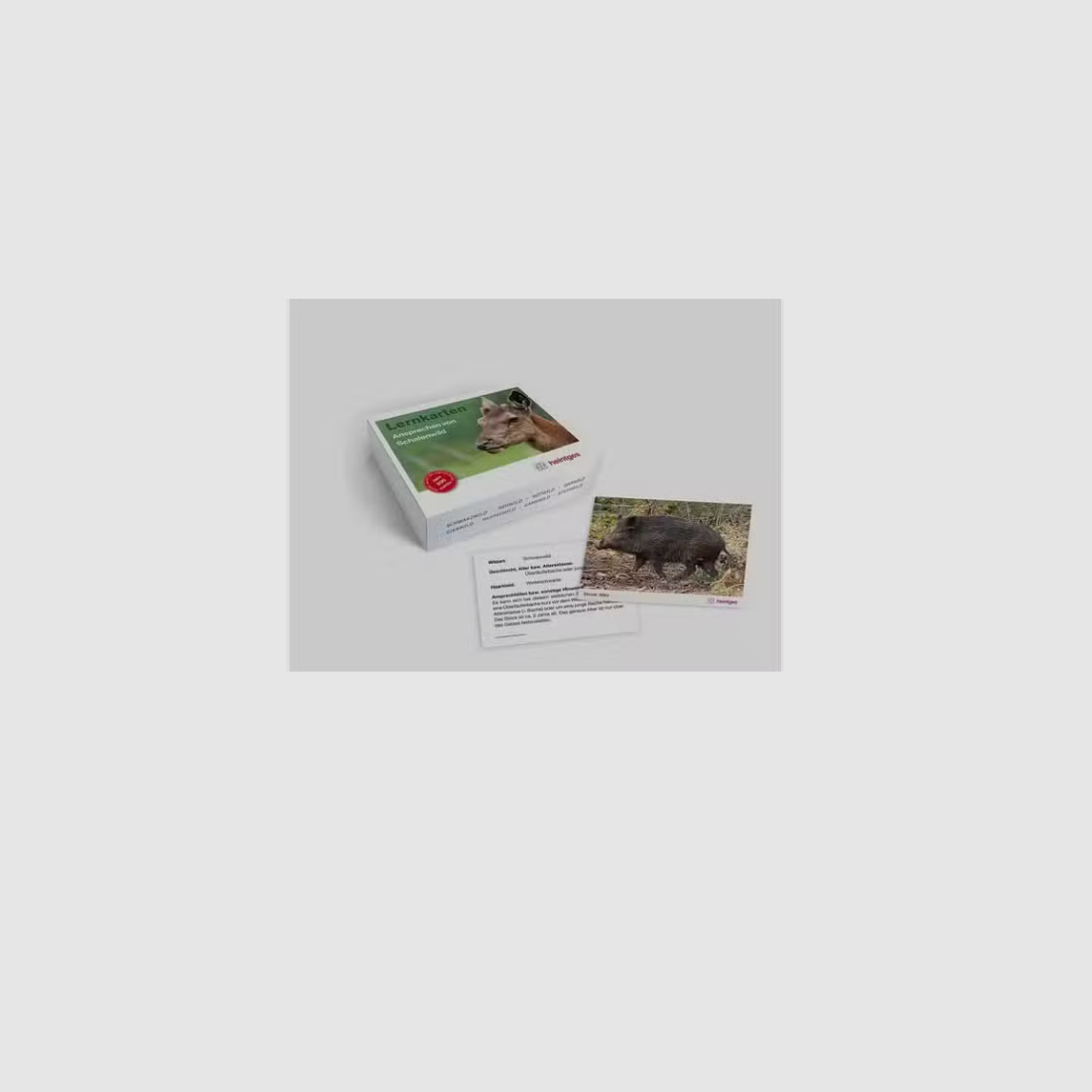 Heintges Learning Cards