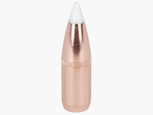 Proiettile Nosler Accubond 6,8mm/.277 100GR Cann 540 Spitzer 50 pezzi