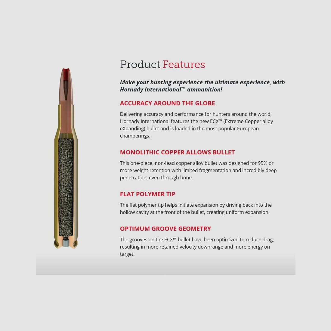 Hornady	 7x64 150GR EXC
