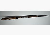 Blaser B95