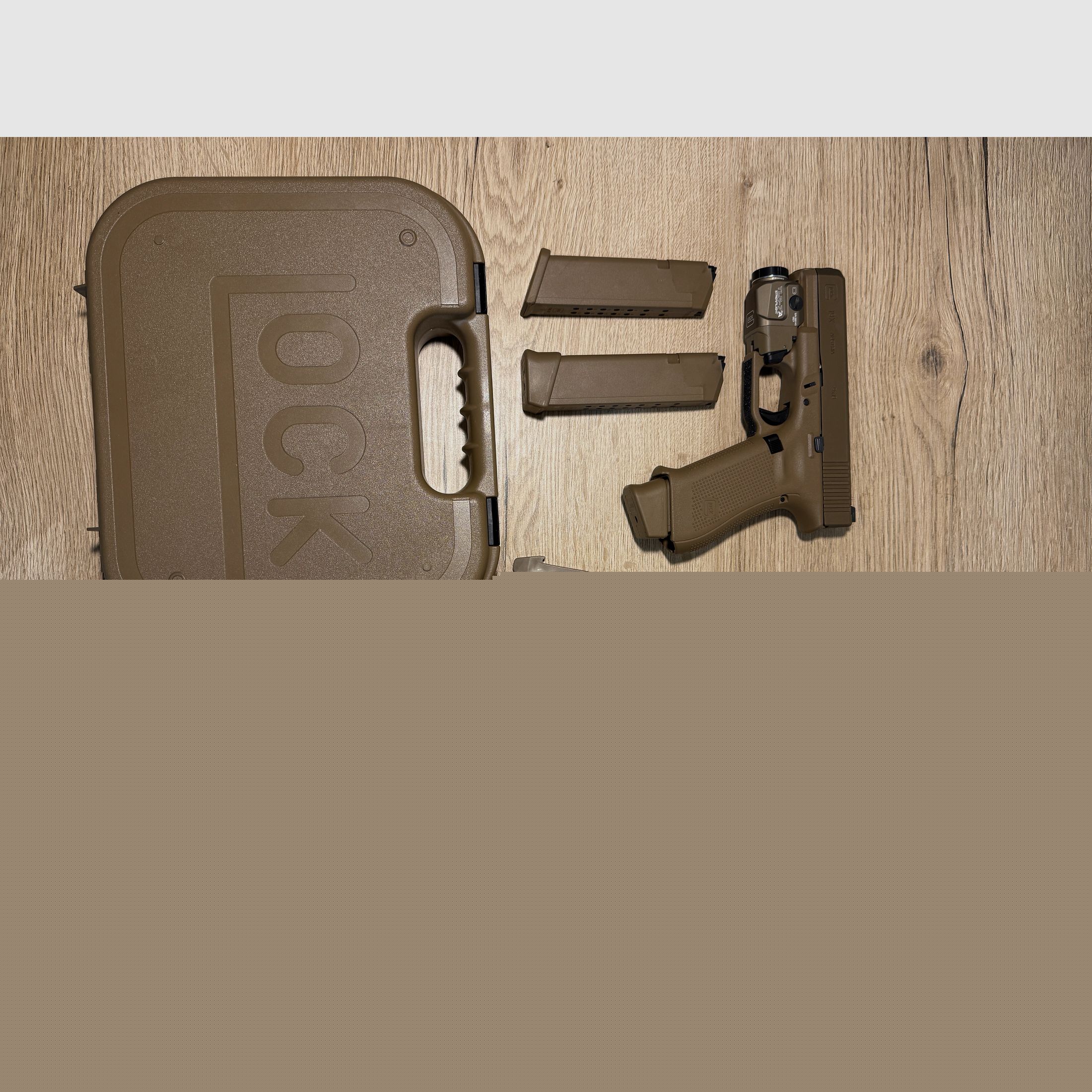 Glock 19x